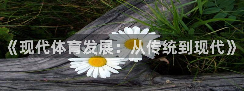 下载风速体育