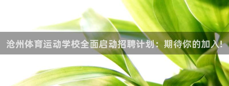风速体育nba免费直播
