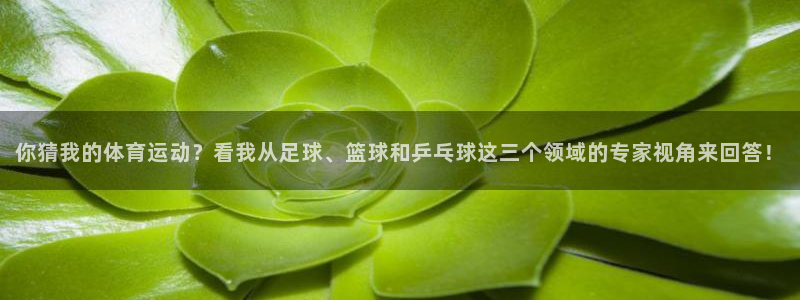 风速体育