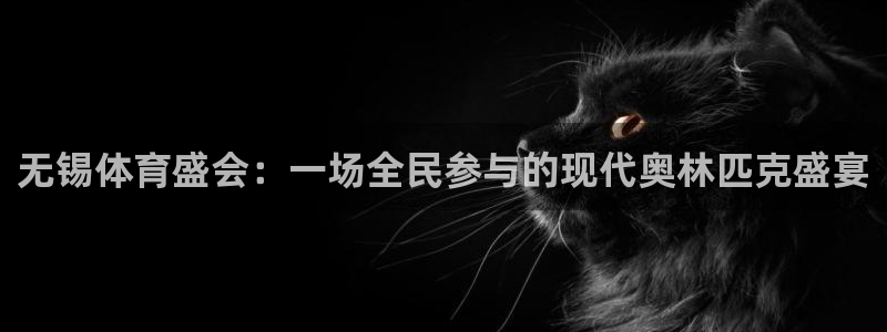 风速体育下载