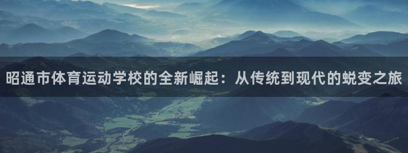 风速体育官网