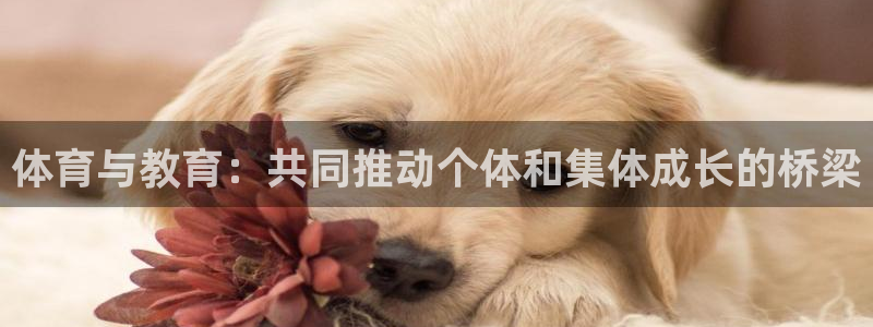 风速体育cba直播