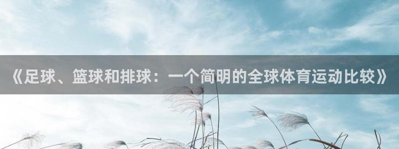 风速体育官网