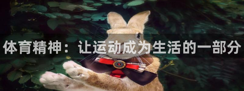 风速体育nba直播