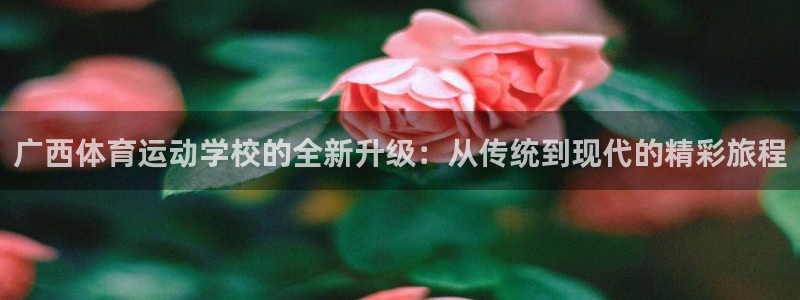 风速体育nba直播